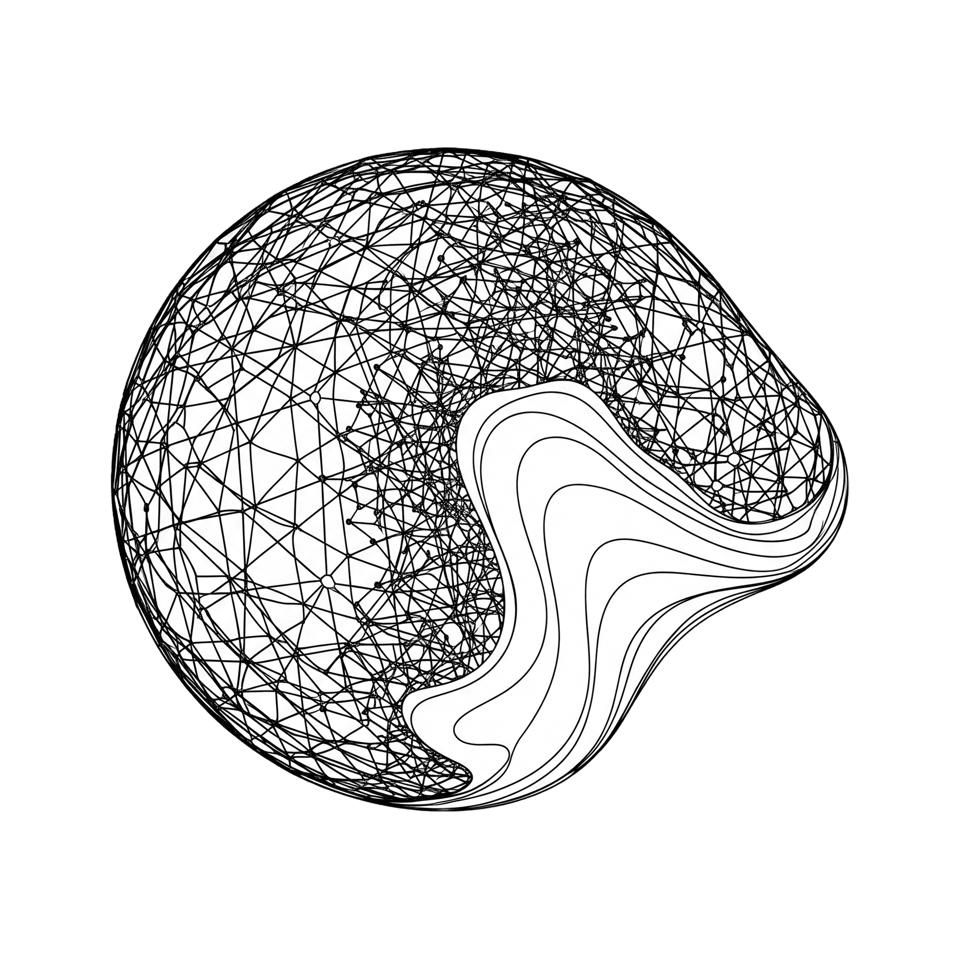 Brain